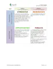 IT SWOT Analysis